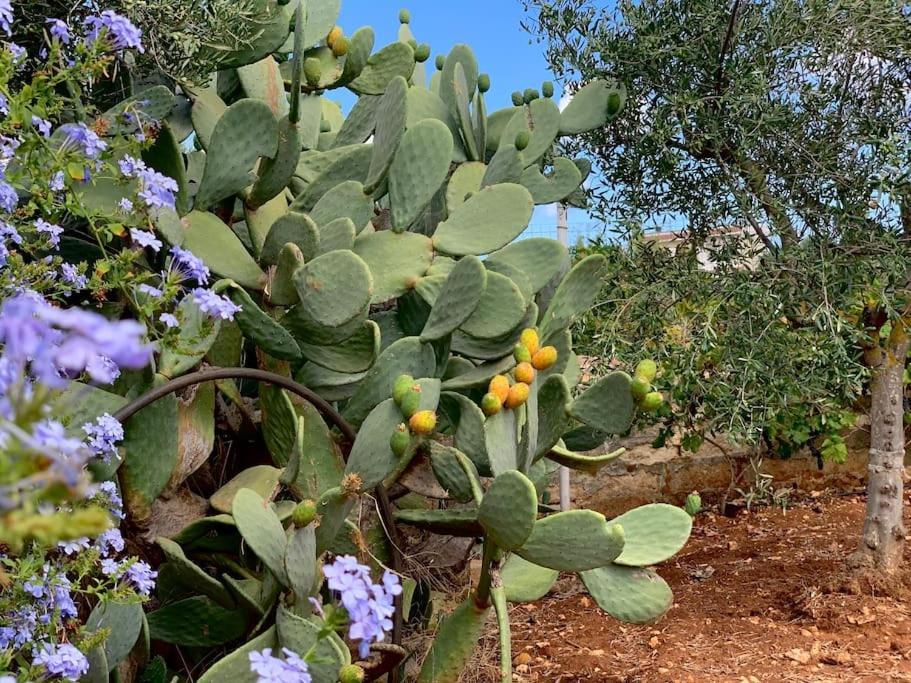 Al Pepe Nero - Casa In Campagna A Soli 5 Minuti Dal Mare Polignano a Mare Exterior photo